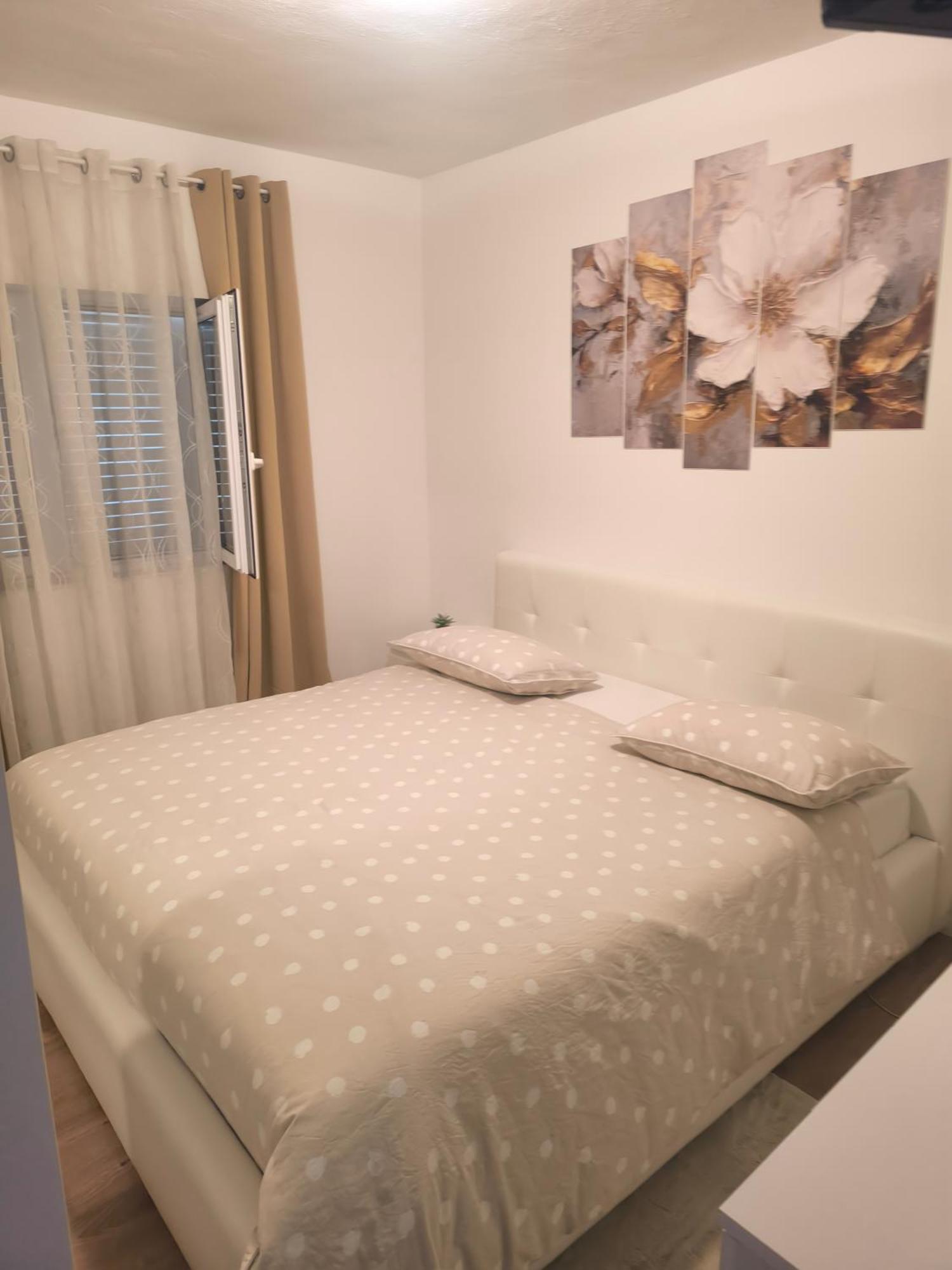 Apartman Rex Svinisce Rom bilde